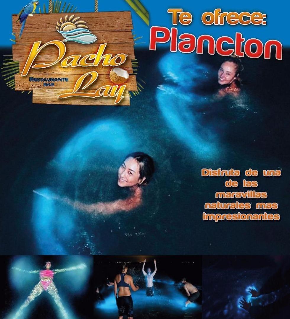 Pacho Lay Pensión *