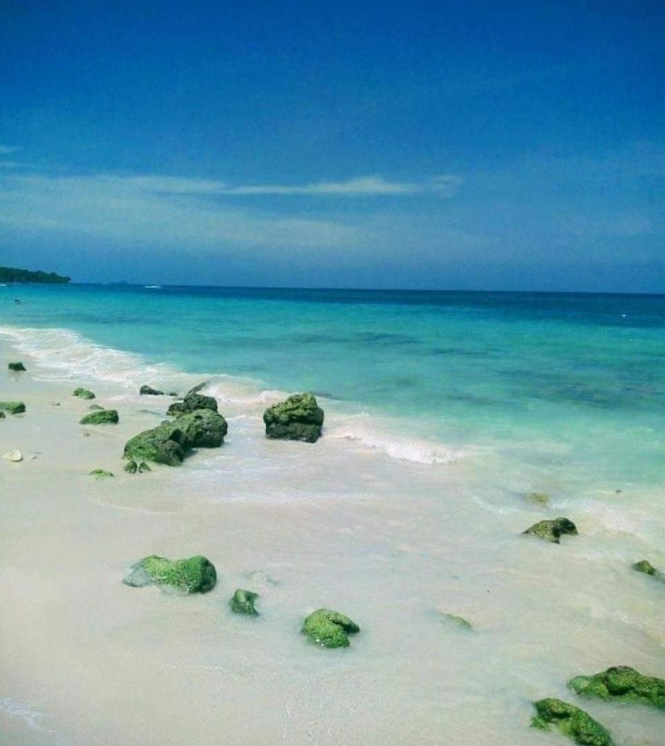 Pacho Lay * Cartagena