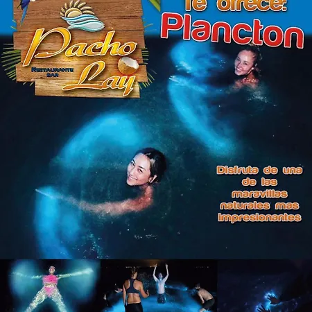 Pacho Lay Pensión *